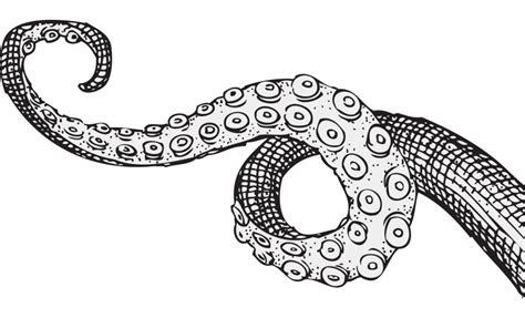 Check spelling or type a new query. Octopus tentacle drawing - Search result: 144 cliparts for ...