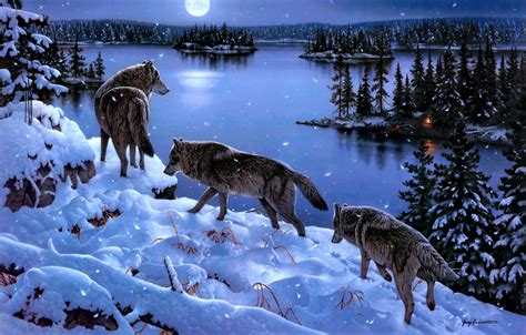 29 Wolf Backgrounds Wallpapers Images Design Trends