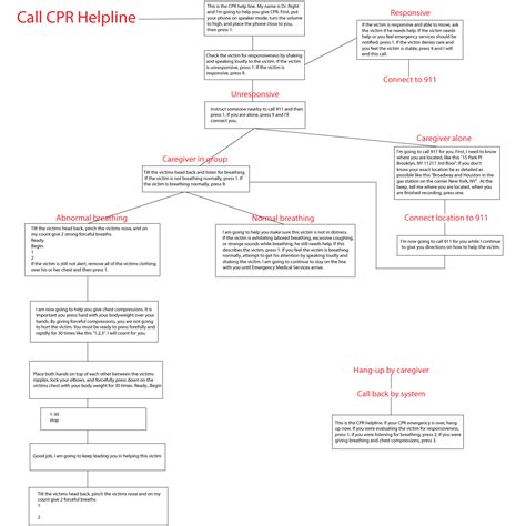 17 Red Cross First Aid Worksheets / worksheeto.com
