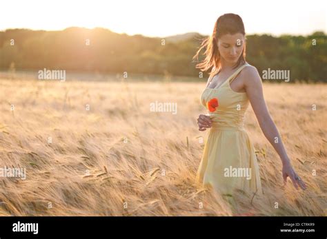 Femme marche à travers un champ de blé d exécution rêveusement ses
