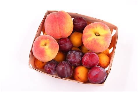 Peaches, plums, nectarines, apricots and peachcots. Fruit Cocktails Trees & Weed Block