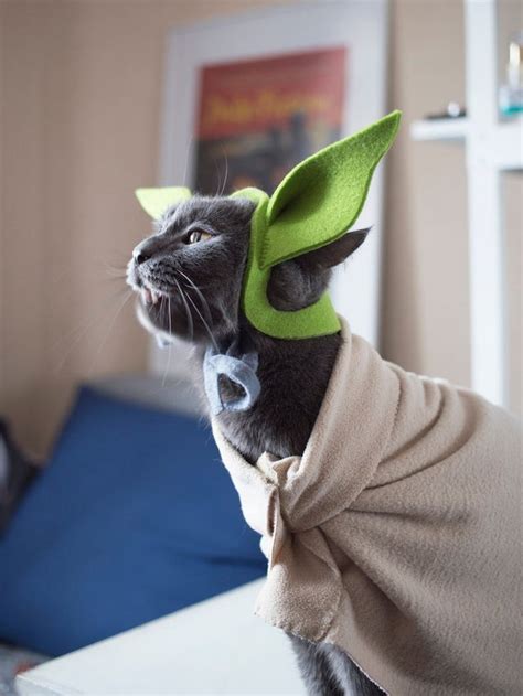 Cat halloween bandanas and cat halloween accessories are lighter alternatives to costumes. Green baby Alien hat for cat Pattern / Cosplay cat Fan art ...