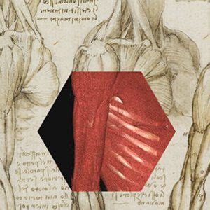 Using The Latest Medical Technology To Explore Leonardos Anatomical
