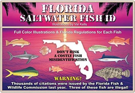 Buy Saltwater Fish Id 9749091574 Florida Saltwater Fish Id 10th