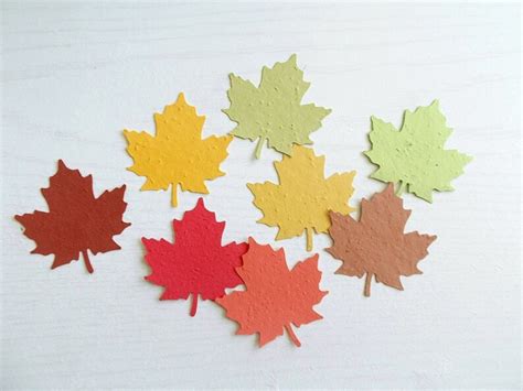 25 Large Maple Leaf Cut Outs Eco Friendly Leaves Made From Etsy