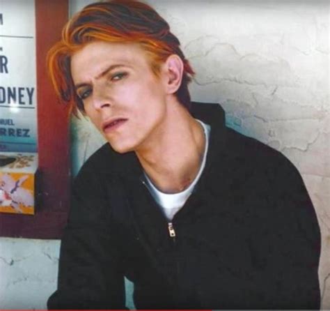 The Man Who Fell To Earth David Bowie Bernie