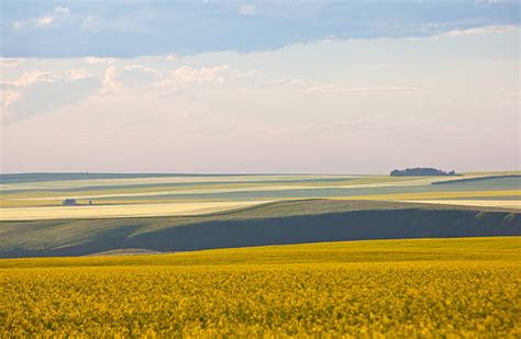 Alberta Prairie Stock Photos Pictures And Royalty Free Images Istock