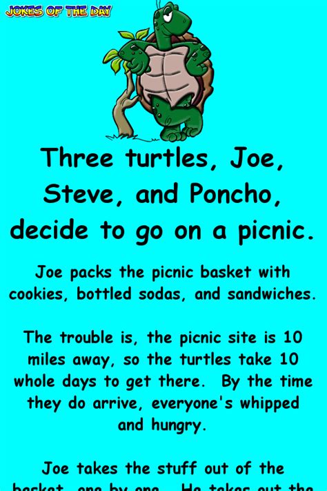 It took me a whole year to write a book. Three turtles decide to go on a picnic | Turtle quotes ...