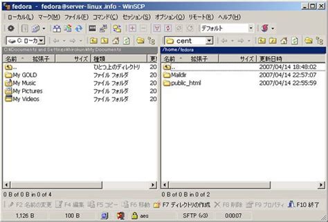 Debian Gnulinux 40 Ftpサーバー Winscpでファイル転送 Server World