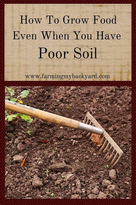 When do you start 2nd foods. Gardening is easy when you start out with great soil. But ...