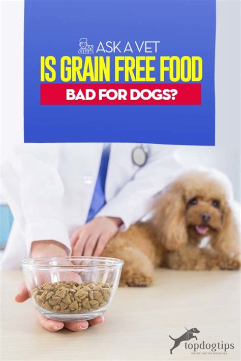 The nutritional value, rather than the ingredients, is the single most important thing to review (unless your cat has been diagnosed a rare case of food intolerance). Ask a Vet: Is Grain Free Food Bad for Dogs? in 2020 ...