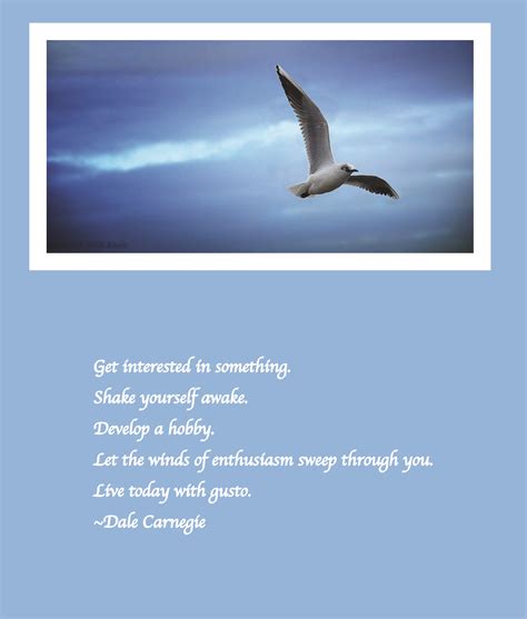 Dale Carnegie Quote #inspiraationalquote #inspiration | Dale Carnegie | Dale carnegie, Quotes ...