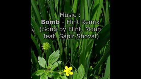 Best Indie Song Fresh Nature Video Bomb Flint Remix Song By