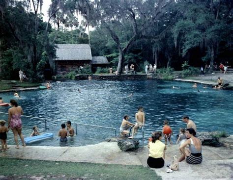The Incredible Spring Fed Pool In Florida You Absolutely Need To Visit