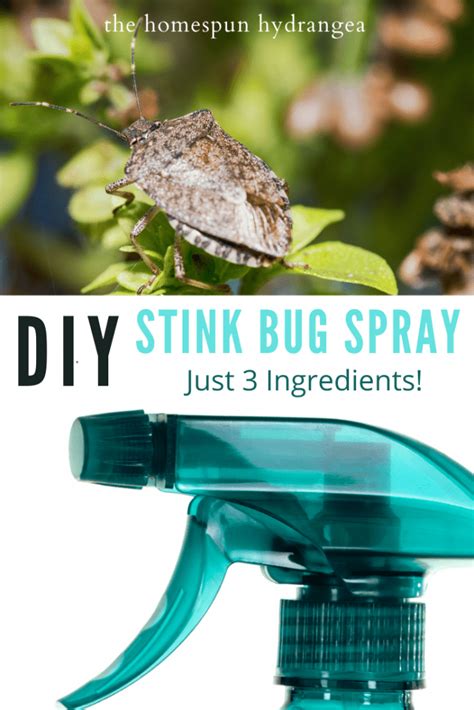 Homemade Stink Bug Repellent Spray