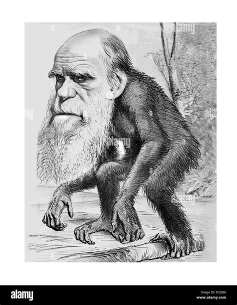 Charles Darwin 1809 1882 Cartoon Stock Photo Alamy