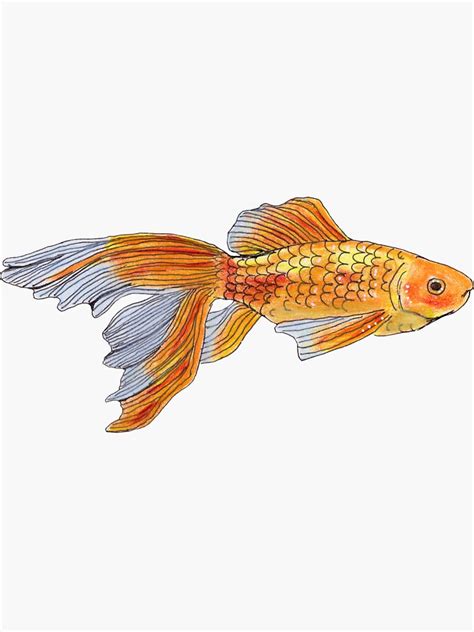 Goldfish Doodle Sticker For Sale By Casmahcreations Redbubble