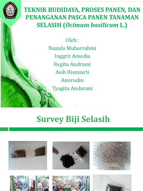 If you want to learn selasih in english, you will find the translation here, along with other translations from malay to english. TEKNIK BUDIDAYA, PROSES PANEN, DAN PENANGANAN PASCA PANEN ...