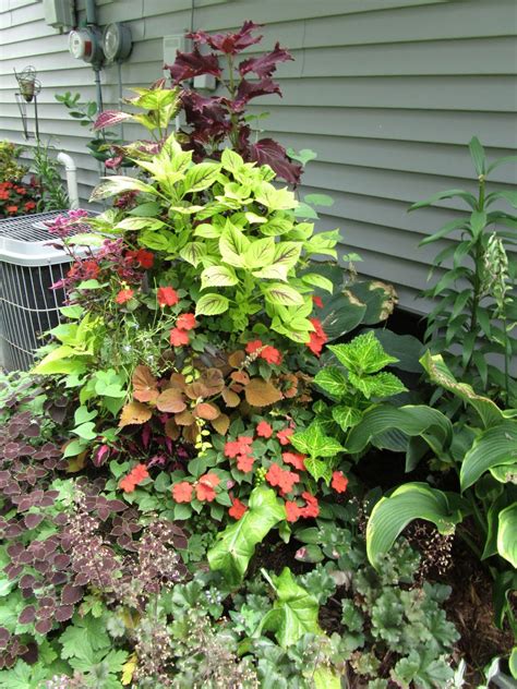 Cheesehead Gardening Using Containers To Brighten Up Shady Spots