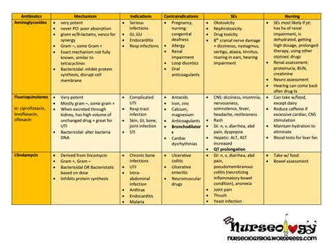 Nursing Student Printable Drug Card Template