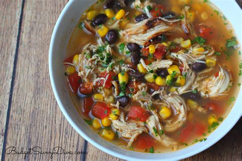 The BEST Chicken Soup Ever Recipe - Budget Savvy Diva
