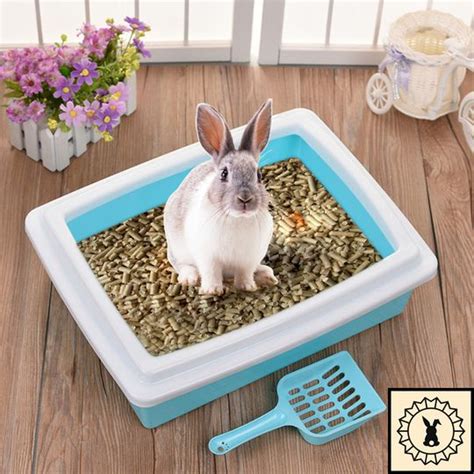House Rabbit Litter Training Box Rabbit Litter Box Rabbit Litter