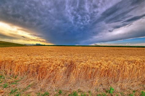 Kansas Wheat In Late Summer Storm Better Large Beautiful L Flickr