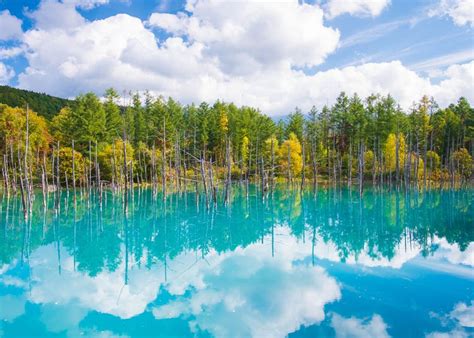 Hokkaidos Shirogane Blue Pond Top Tips For Visiting Bieis Mystical