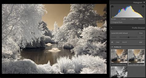 The Ultimate Infrared Photography Guide Chris Wright Photography