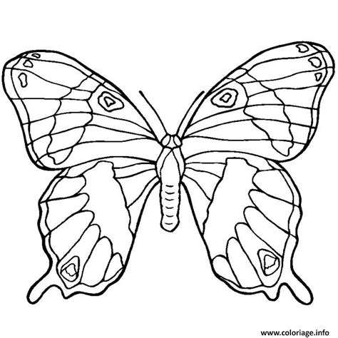 Coloriage Papillon dessin