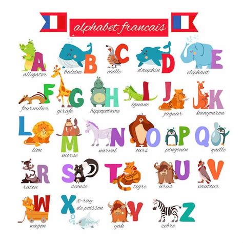 Animals That Start With S In French Inside Came