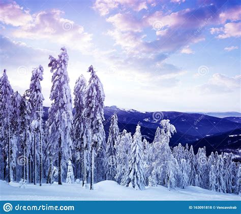 Snowy Winter Landscape At Sunset Stock Photo Image Of
