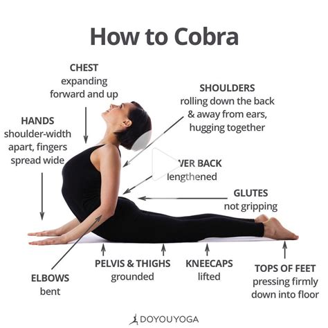 Das Beste Von Cobra Pose Of Bhujangasana Yoga X Poses