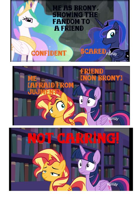 Mlp And Bronies Mlp My Little Pony Mlp Funny Brony