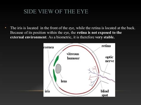 Retina Recognition Biometrics Drishtysharma