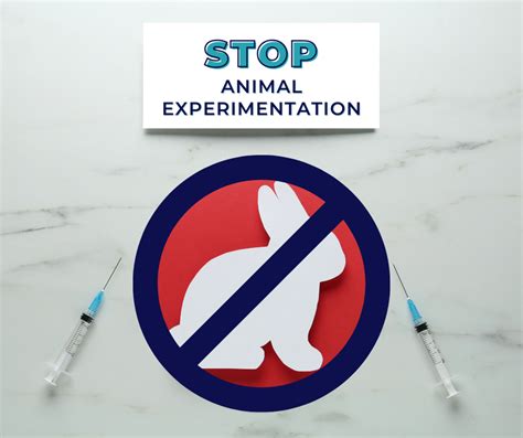 Nine Things We Can All Do To Help Stop Animal Experimentation Ethical