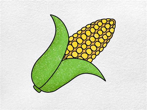 How to Draw a Corn Cob - HelloArtsy