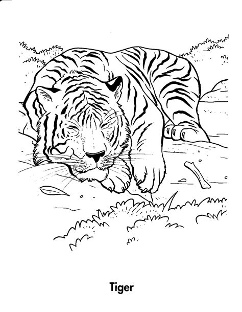 Two tigers coloring page from tigers category. Free Printable Tiger Coloring Pages For Kids