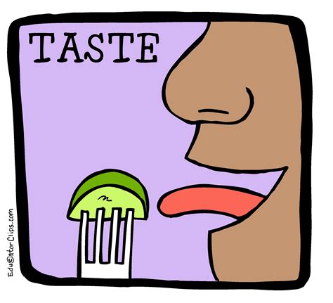 Taste Clip Art 5 Senses Clip Art