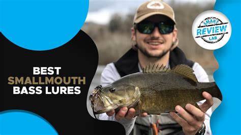 ️smallmouth Bass Lures Top 5 Best Smallmouth Bass Lures For 2020