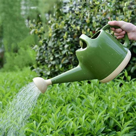 indoor watering can garden watering can watering pot flower watering can ebay