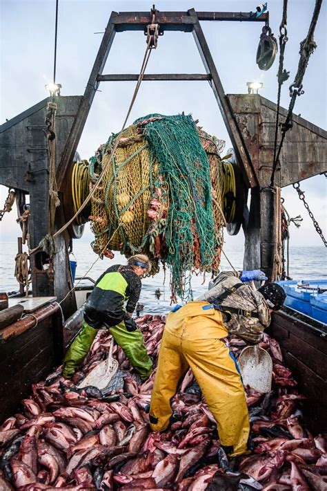 Fishing Gear Types Trawling Monterey Bay Fisheries Trust