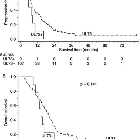 Survival Curves Of Gbm Patients Stratified By The Results Of Hcmv Ul73