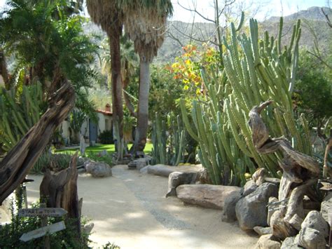 Amenities include a heated pool and hot tub, a massage room, hammock garden, and a light daily continental breakfast. Moorten Botanical Garden in Palm Springs, CA