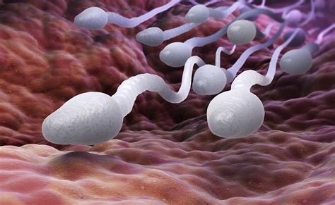6 ways to make your sperm stronger faster and more fertile wellnes spot