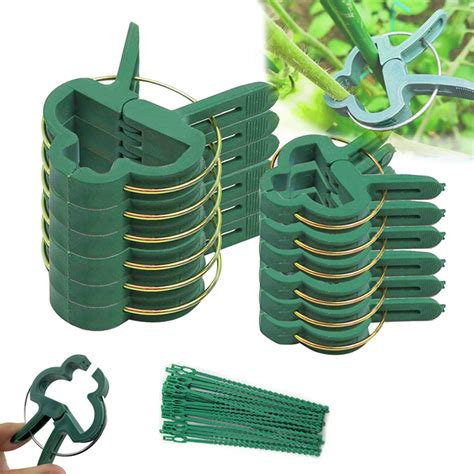 Gentle Plant And Flower Clips For Supporting Climbing Vines