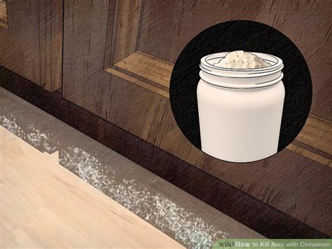 2.3 will baking soda kill ants? How to Get Rid of Ants with Cinnamon: 8 Steps (with Pictures)