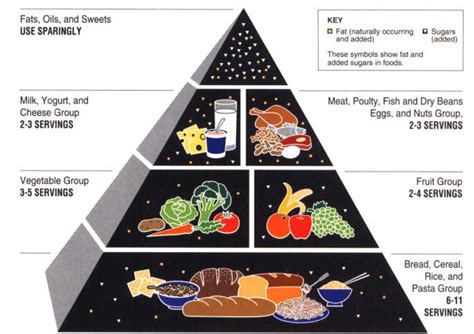 Food Guide Pyramid Chart