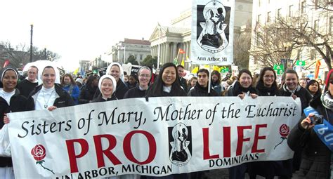 dominican sisters of mary mother of the eucharist eucharist ann arbor pro life nuns cover