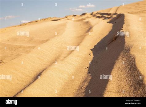 Sand Waves In The Desert Sand Texture Kharkov Ukraine Ukrainian